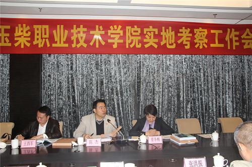 自治区政府专家组实地考察ac米兰